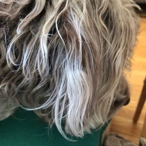 Meet your Posher, Lucia